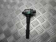 Zündspule Nissan Qashqai II (J11) 224332428R