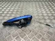 Türgriff links BMW 4er Coupe (F32, F82)