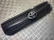 Gitter vorne unten TOYOTA RAV 4 II (_A2_) 2.0 D-4D 4WD (CLA20_, CLA21_) 0842342150 5310142140