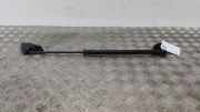 Heckklappe Gasdruckfeder links MERCEDES-BENZ VITO Furgon (W447) 116 CDI 4x4 (447.601, 447.603, 447.605) A4479800264