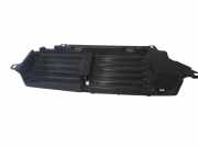 Kühlerluftumlenker LAND ROVER RANGE ROVER SPORT (L320) 3.0 D 4x4 DK628475A