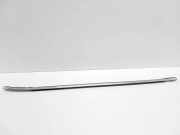 Türleiste vorne links