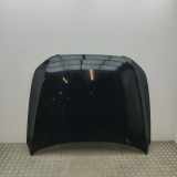 Motorhaube AUDI Q5 (8R) SQ5 TDI quattro 8R0823029H