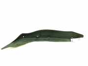 Andere Aufbauteile MERCEDES-BENZ C (W205) C 220 BlueTEC / d (205.003) A2058890025