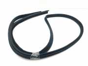 Türgummi links vorne Maserati Quattroporte V ()