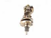 Kurbelwelle MERCEDES-BENZ R (W251, V251) R 320 CDI 4-matic (251.022, 251.122) 6420300901