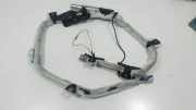 SRS Modul Dach links BMW 3 Touring (E91) 320 d 30380424A 1012435400160