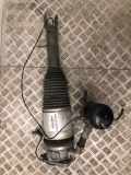 Pneumo-Stoßdämpfer hinten links AUDI A8 D3 (4E2, 4E8) 4.2 FSI quattro 4E0616001E