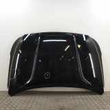 Motorhaube HYUNDAI SANTA FÉ IV (TM) 2.2 CRDi AWD 66400-S1000