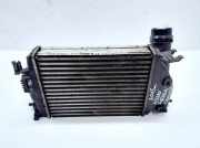 Ladeluftkühler Nissan Qashqai II (J11) 144614ED0A