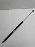 Heckklappe Gasdruckfeder links RENAULT LAGUNA II (BG0/1_) 1.9 dCi (BG08, BG0G) 21017501