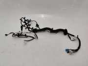 Kabel der vorderen linken Tür MERCEDES-BENZ A (W177) A 220 4-matic (177.045) 20200602