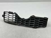 Kühlergrill komplett Chevrolet Captiva (C100, C140) 96623661