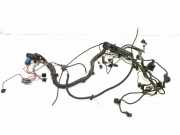Motor Kabelbaum BMW 3 Compact (E46) 320 td 7787556