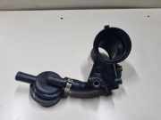 Entlüftungsschlauch RENAULT GRAND SCÉNIC II (JM0/1_) 1.9 dCi (JM0G, JM12, JM1G, JM2C) 3911171919