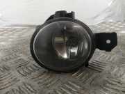 Nebelscheinwerfer links vorne BMW X5 (E70) 6924655