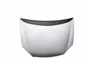 Motorhaube CITROËN C5 I (DC_) 2.2 HDi (DC4HXB, DC4HXE)