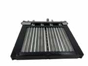 Elektrischer Schulterschulterkühler MERCEDES-BENZ CLS (C219) CLS 320 CDI (219.322) G9502964 5HB00853620