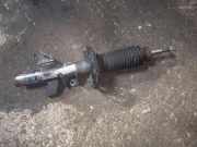 Stoßdämpfersatz Vorderachse Chrysler 300 M (LR)