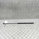 Gasfeder für Motorhaube Jaguar XK 2 Coupe (X150) 6W8316C826AB