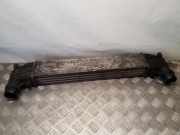 Ladeluftkühler FORD GALAXY III (CK) 2.0 TDCi 0823856