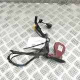 Antenne AUDI A4 Allroad (8WH, B9) 3.0 TDI quattro 4M0035507