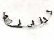 Kabelbaum RENAULT LAGUNA II (BG0/1_) 1.9 dCI (BG0E)