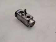A/C Conditioner Expansion Valve MERCEDES-BENZ C (W203) C 220 CDI (203.008) 2208300384