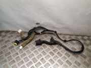 Türverkabelung hinten rechts NISSAN JUKE (F15) 1.5 dCi 241261KK0A