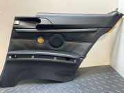 Türverkleidung rechts hinten BMW 3er Coupe (E92) 6980774