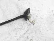 Antenne Dach Toyota Prius (W3)