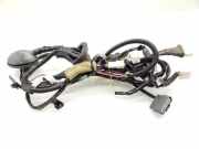 Kabel Tür Nissan X-Trail II (T31) 24124JG42A