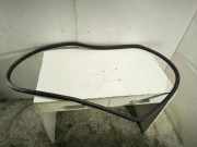 Türgummi links vorne VW Phaeton (3D) 3D4867365