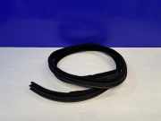 Türgummi rechts hinten Jaguar XJ (X35) AW93F20708AB