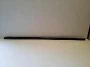 Fensterleiste Tür vorne links MITSUBISHI SPACE WAGON (N9_W, N8_W) 2.4 GDI