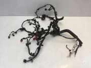 Motor Kabelbaum NISSAN JUKE (F16) 1.0 240116PA0B