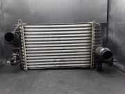Ladeluftkühler Opel Meriva B () R3451004
