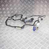 Kabel Tür vorne rechts MASERATI QUATTROPORTE VI 3.0 D 06700093500