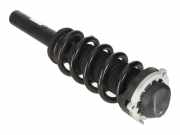 Stoßdämpfer hinten links VW TOUAREG (CR7) 3.0 TDI 4motion 4M4413031Q
