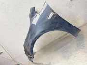 Kotflügel vorne links