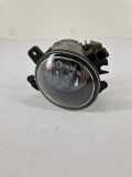 Nebelscheinwerfer vorne rechts MERCEDES-BENZ A (W169) A 160 CDI (169.006, 169.306) A2518200856