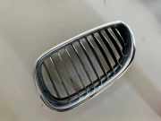 Vorderer oberer Gitter BMW 5 Touring (E61) 530 i