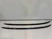 Dachreling links BMW X3 (G01, F97) 8070692