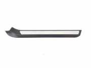Schwellerinnenverkleidung vorne links MERCEDES-BENZ E Coupe (C207) E 250 CDI / BlueTEC / d (207.303) A2076800074