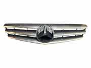 Vorderer oberer Gitter MERCEDES-BENZ CLK (C209) 200 Kompressor (209.342) A2098880052