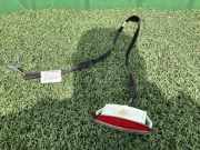 Innenleuchte Renault Master III Kasten (FV) 8200003263