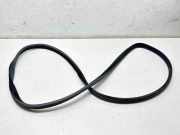 Türgummi rechts vorne Land Rover Range Rover Evoque I (L538) BJ3220708A