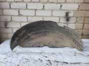Innenkotflügel hinten links FORD GALAXY (WGR) 1.9 TDI VW278B51