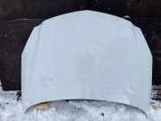 Motorhaube OPEL INSIGNIA A (G09) 2.0 CDTI (68)