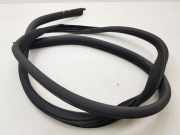 Türdichtung Maserati Quattroporte V ()